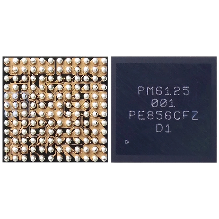 IC PM6125