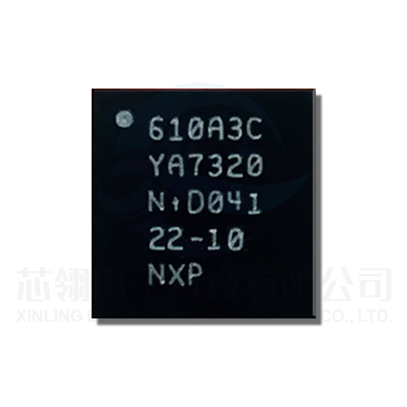 IC iPad Pro U2 Charge 610A3c